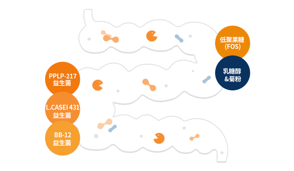 1754562346307463.png 3_副本.png